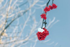 Read more about the article 클러스터용인경남아너스빌모델하우스, 꼭 방문해야 할 이유